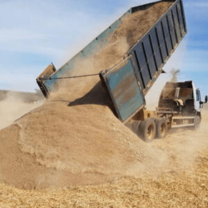 CAMA DE FRANGO 150 TON